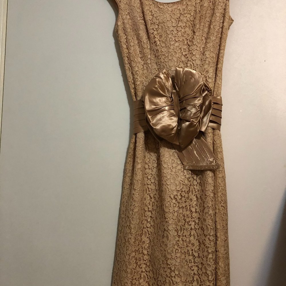 Champagne lace vintage tea-length dress